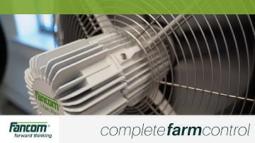 I-Fans - Virtual Showroom