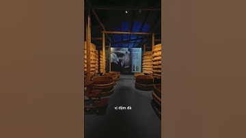 Cùng Bảo tàng nước mắm Phan Thiết tìm hiểu về các loại nước mắm #dulichphanthiet #nuocmam #phanthiet