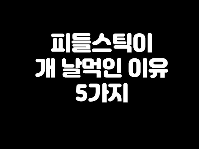 피들이 날먹인 이유 5가지