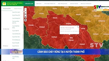 Cảnh báo cháy rừng tại 5 huyện, thành phố