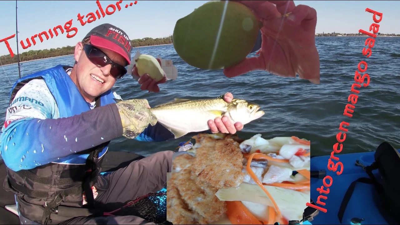 Swan river tailor || Green mango salad || Catch and cook || Perth Kayak Fishing