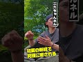 【初夏キャンプ】広葉樹か針葉樹か?どっち派?