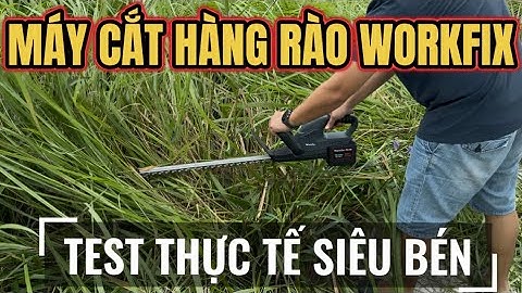 Máy Cắt Hàng Rào WORKFIX Dùng Pin Chính Hãng Lưỡi Dài 54cm Mô Tơ Lõi Đồng, Không Chổi Than