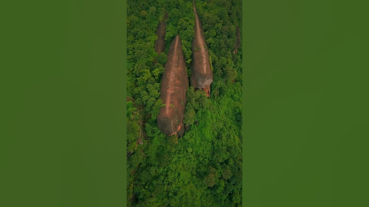 The three "giant whales" in the primeval forest.#youtubeshorts #trending