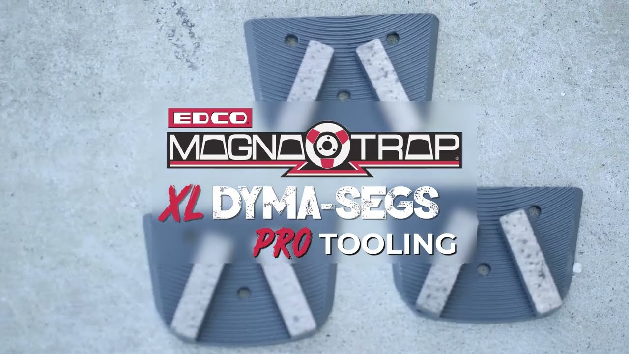 NEW XL Dyma-Segs (3 Pack) | The EDCO Company Store