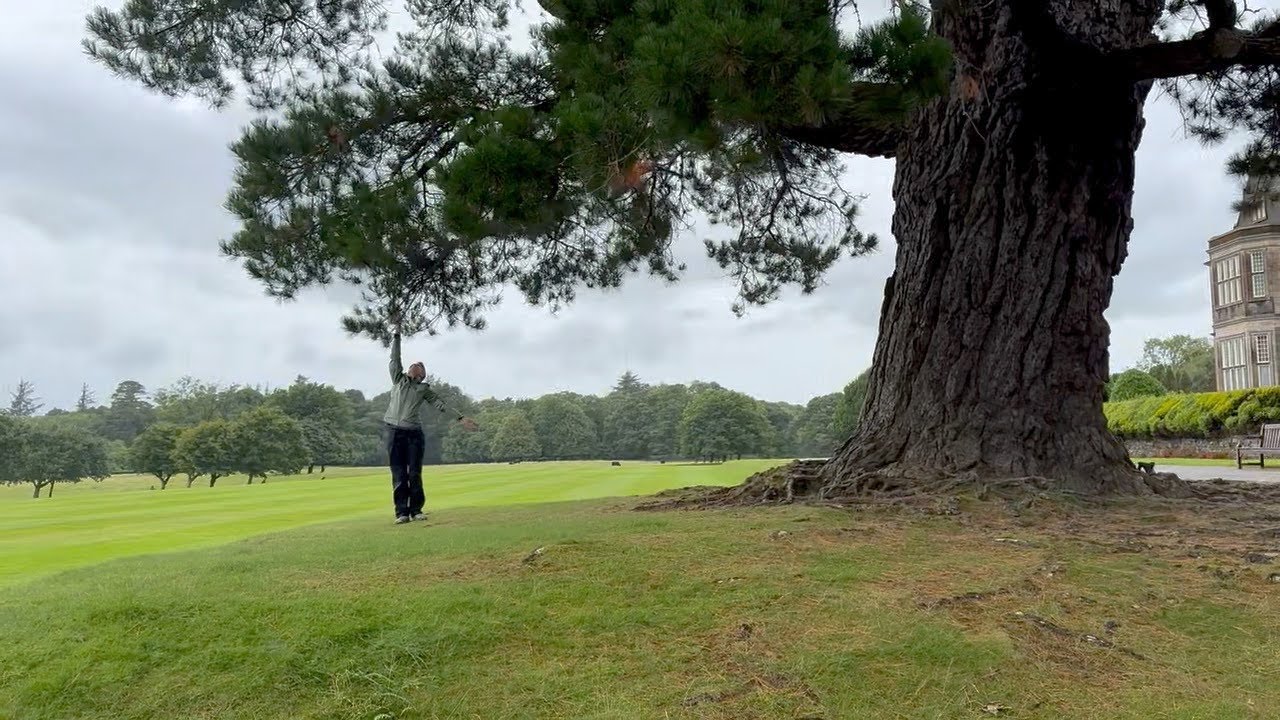Inspired by Tree - YouTube