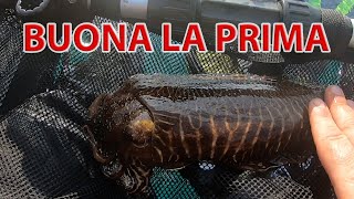 Belly Boat For Me Before The Cuttlefish Season And The Fun Was Not Lacking