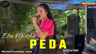 PEDA - Elsa Meriska (Cover) - LIVE DI DESA TAKARAS