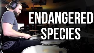 Esperanza Spalding - &quot;Endangered Species&quot; | ABBDRUMS