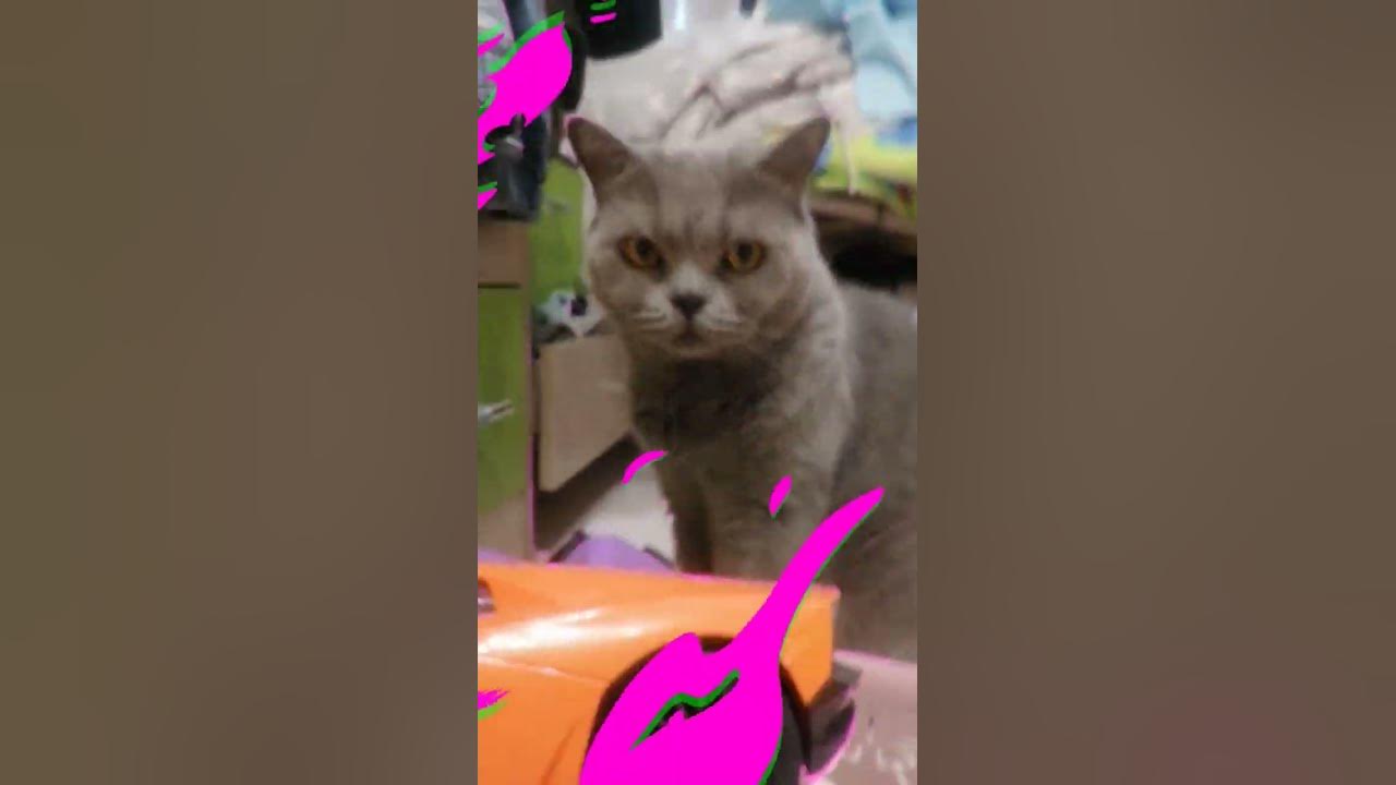 кочок - YouTube