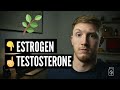 Tongkat Ali Benefits Increase Testosterone Decrease Estrogen 