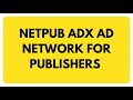 Netpub adx ad network for publishers