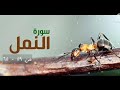 من تلاوات المحراب سورة النمل من ٥٩ ٦٥
