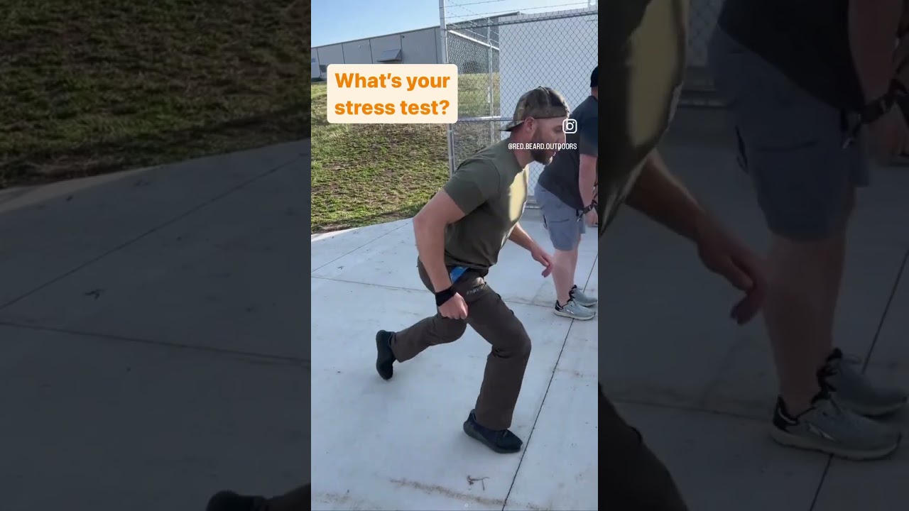 Elkshape stress test