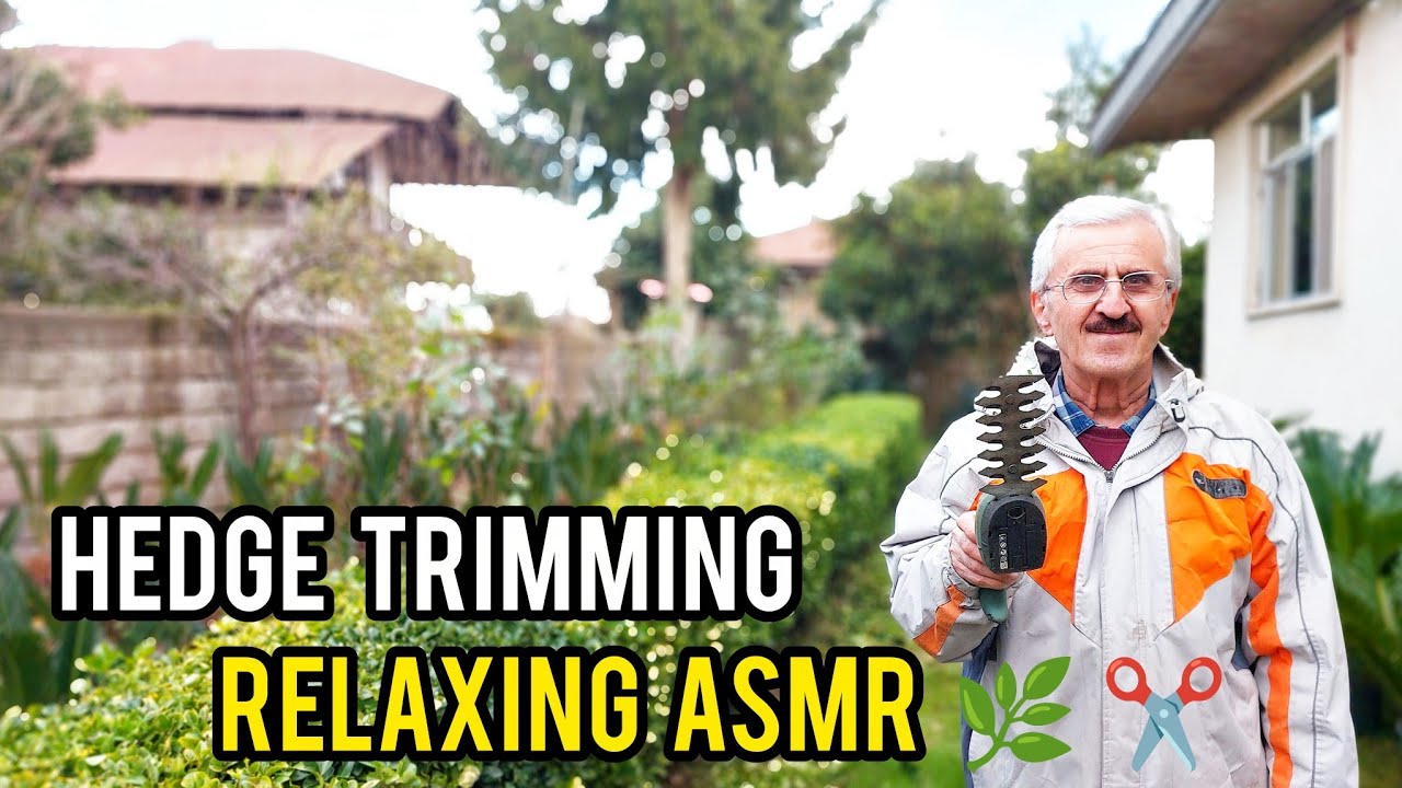 Satisfying Hedge Trimming & Boxwood Shaping | Relaxing Garden ASMR No ...