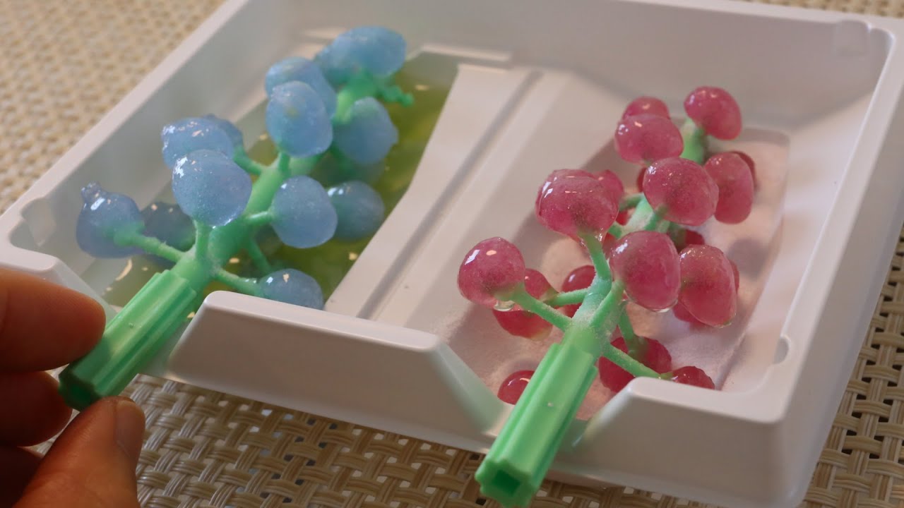 Kracie Renewed Gummy Tree Making Kit