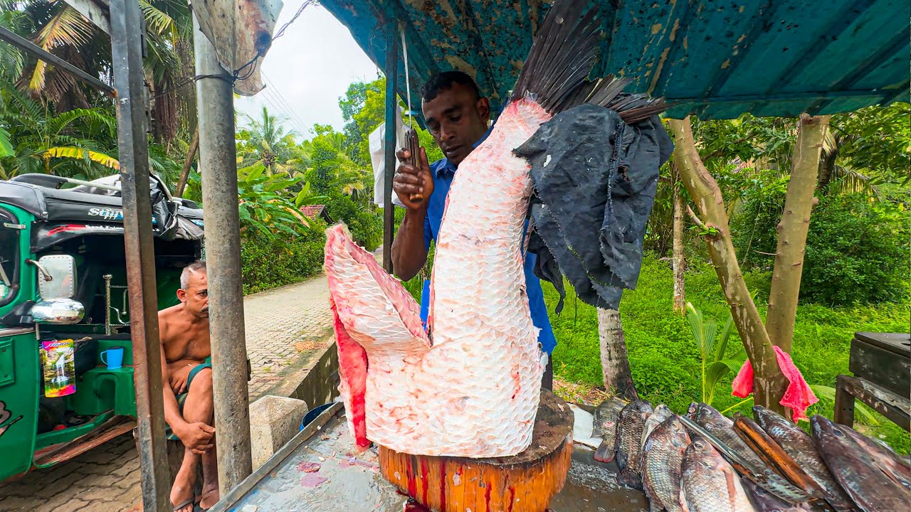 Amazing!! Big Monster Catla Fish Market in Sri Lanka Special Cutting Techniques