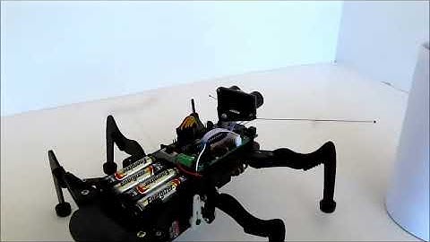 Cricket Arduino Video