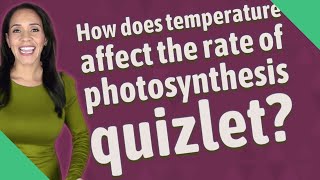 How does temperature affect the rate of photosynthesis quizlet?
