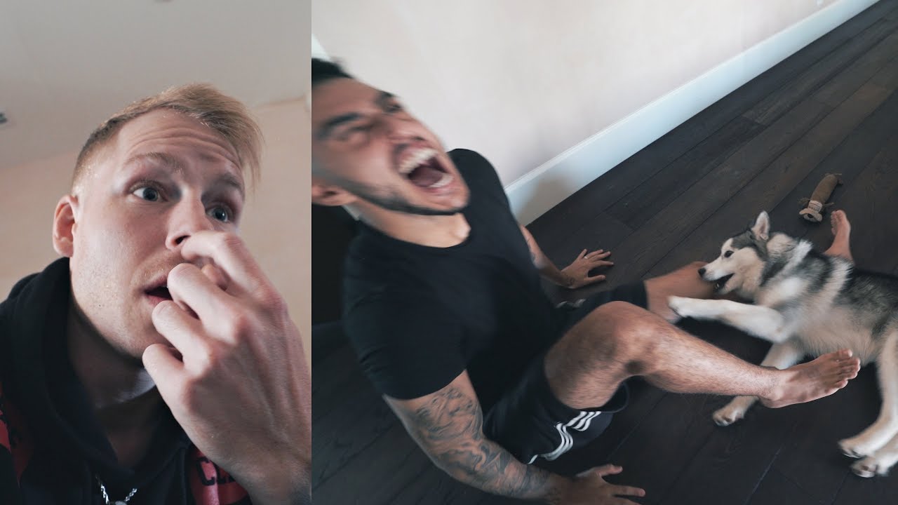 NEVER doing this again... A day at the FaZe House Vlog w/ Teeqo, Rain & Blaze