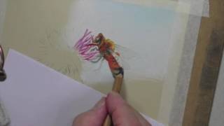 Drawing Transparent Wings Pastel Pencil Demo