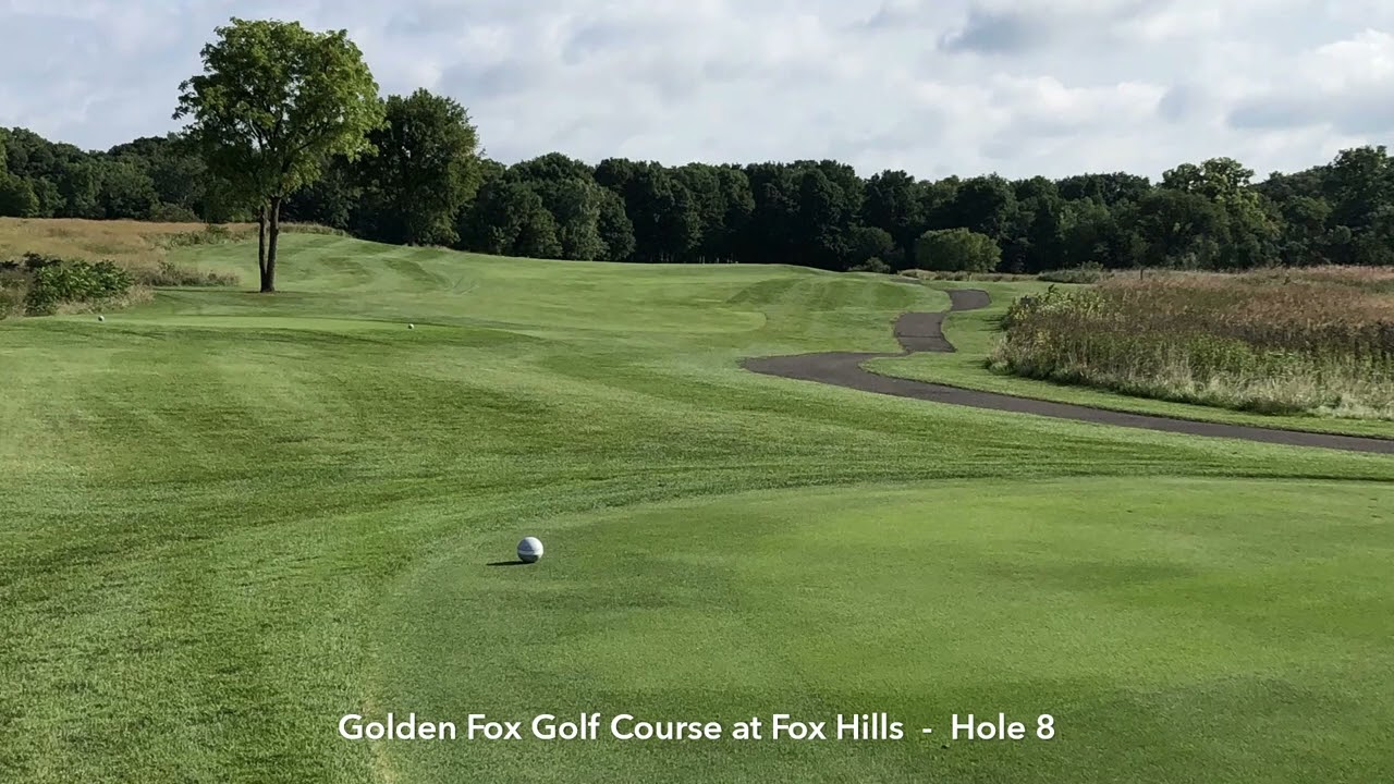 Golden Fox by Michigan Golf Matrix