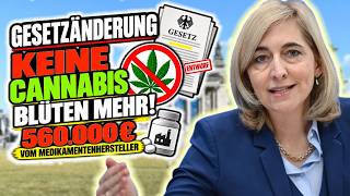 Keine Cannabis Blüten mehr ! Gesetz Änderung Legalisierung