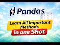 Master Pandas for Interviews in One Shot