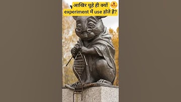 why scientist always use mice in experiment #facts #shorts #factkari