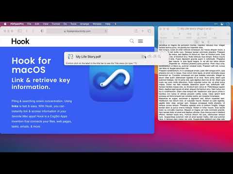 How to invoke the Hook productivity window