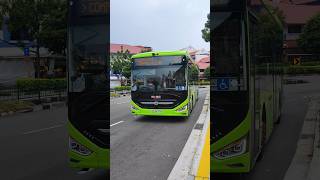 [RARE CAMEO|SWDEP 159] SG3477B 87