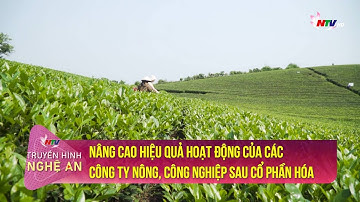 Nâng cao hiệu quả hoạt động của các công ty Nông, Công nghiệp sau cổ phần hóa