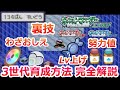 3世代のポケモン育成方法を完全解説！！【ポケモンRSE FRLG リボンコンプ】