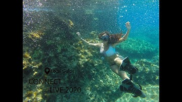 Connect Live 2020 Application Video