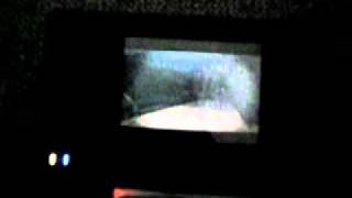 Nintendo Ds 　Dimentiumii Tozasareta Byoutou