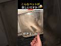 この男は怖い生き物を手なずけた🙈