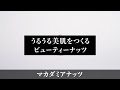 【マカダミアナッツ/MACADAMIA】ナッツ専門店Groovy Nutsが解説します