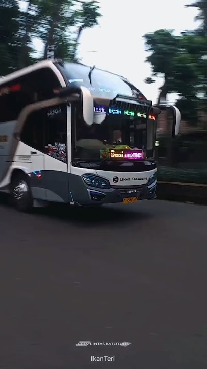 Telolet Basuri Warkop DKI Bus PAPIH MUDA Limas Pariwisata #shorts #telolet #basuri #busmania #warkop