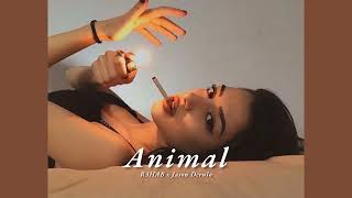 Vietsub | Animal - R3HAB & Jason Derulo | Lyrics Video