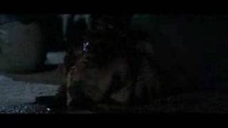 Land Of The Dead Clip