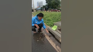 Clean Culvert Prevent Rain Water Clogged On Street #unclog #drain #clean #shorts