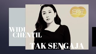 TAK SENGAJA - WIDI CHENTIL
