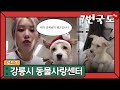 [ENG sub] 블핑 로제의 반려견 행크가 지내던 강릉시 동물사랑센터 💕 / Gangneung Animal Shelter where BP Rose&#39;s Hank used to be