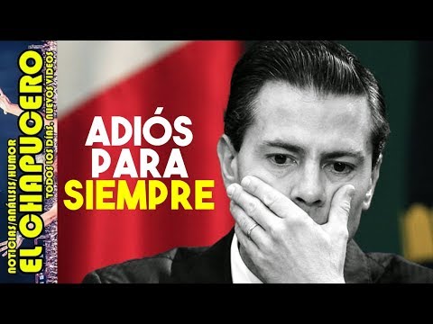 PORQUÉ EL PRI PERDIÓ HASTA EL CALZÓN trump amazonia
