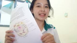 Menjelaskan bagian-bagian sel eukariotik, mata kuliah biomedik dasar. NAMIRA ANJANI; NPM: 252201067