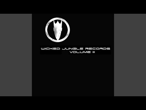The Darkness & The Light (Original Mix)