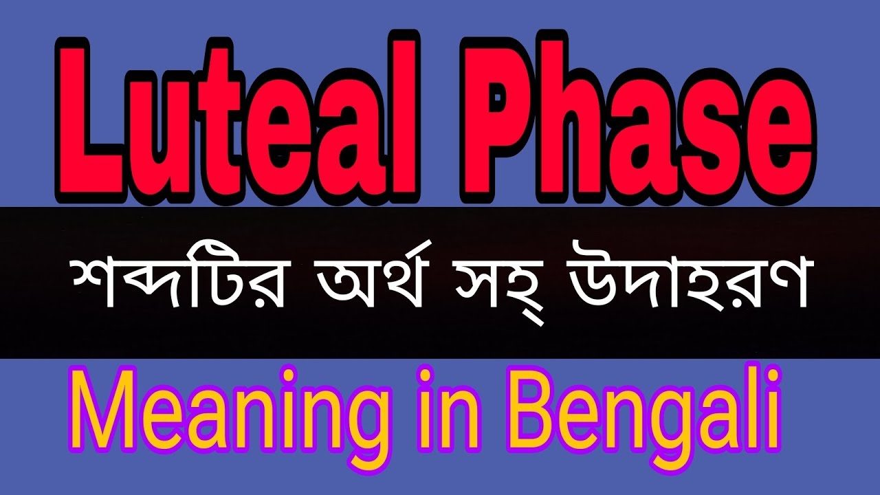 Luteal Phase Meaning In Bengali /Luteal Phase mane ki 