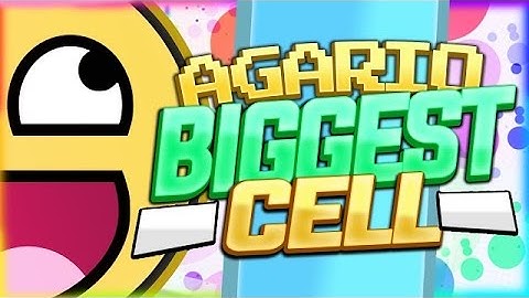 AGARIO AMAZING GAMEPLAY // INSTANT MERGING PRIVATE SERVER