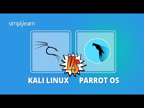 Your Guide to Choose the Best Operating System Between Parrot OS vs. Kali Linux