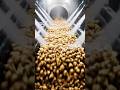 Potato Chips Factory Process — Washing, Slicing, Frying &amp; Packaging Machine #shorts #viral